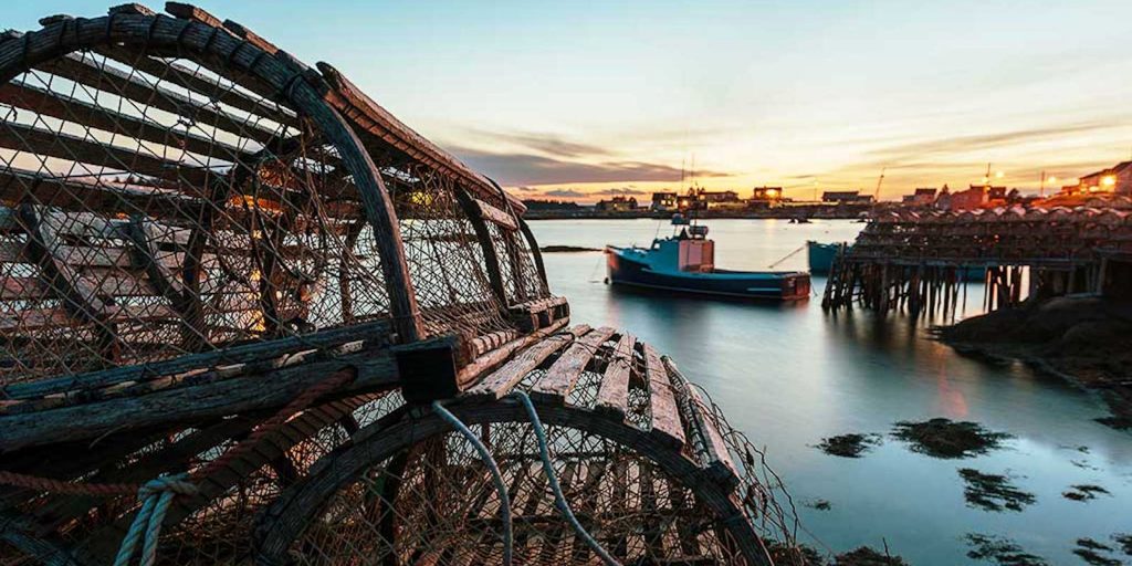 hummerfiske med respekt för framtida bestånd