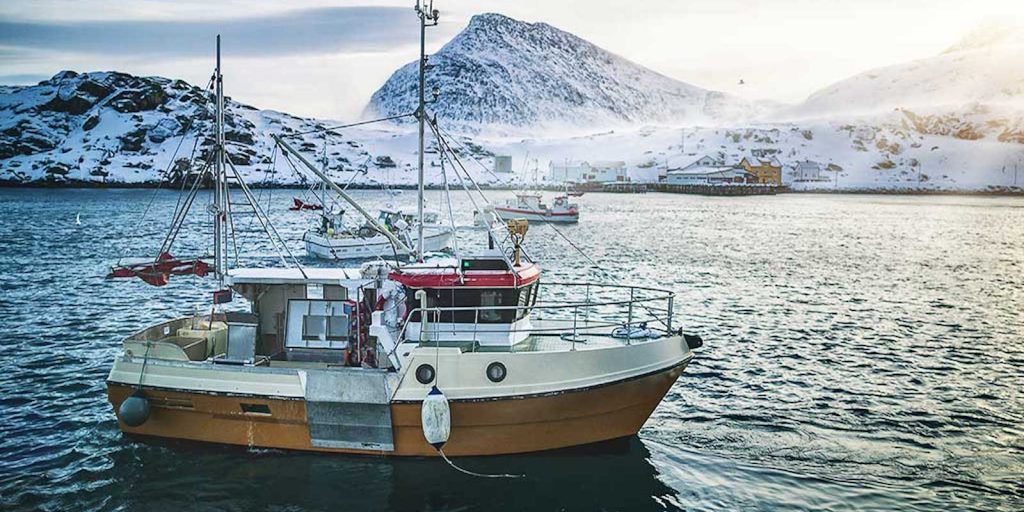 msc märkt sjömat för en hållbar planet